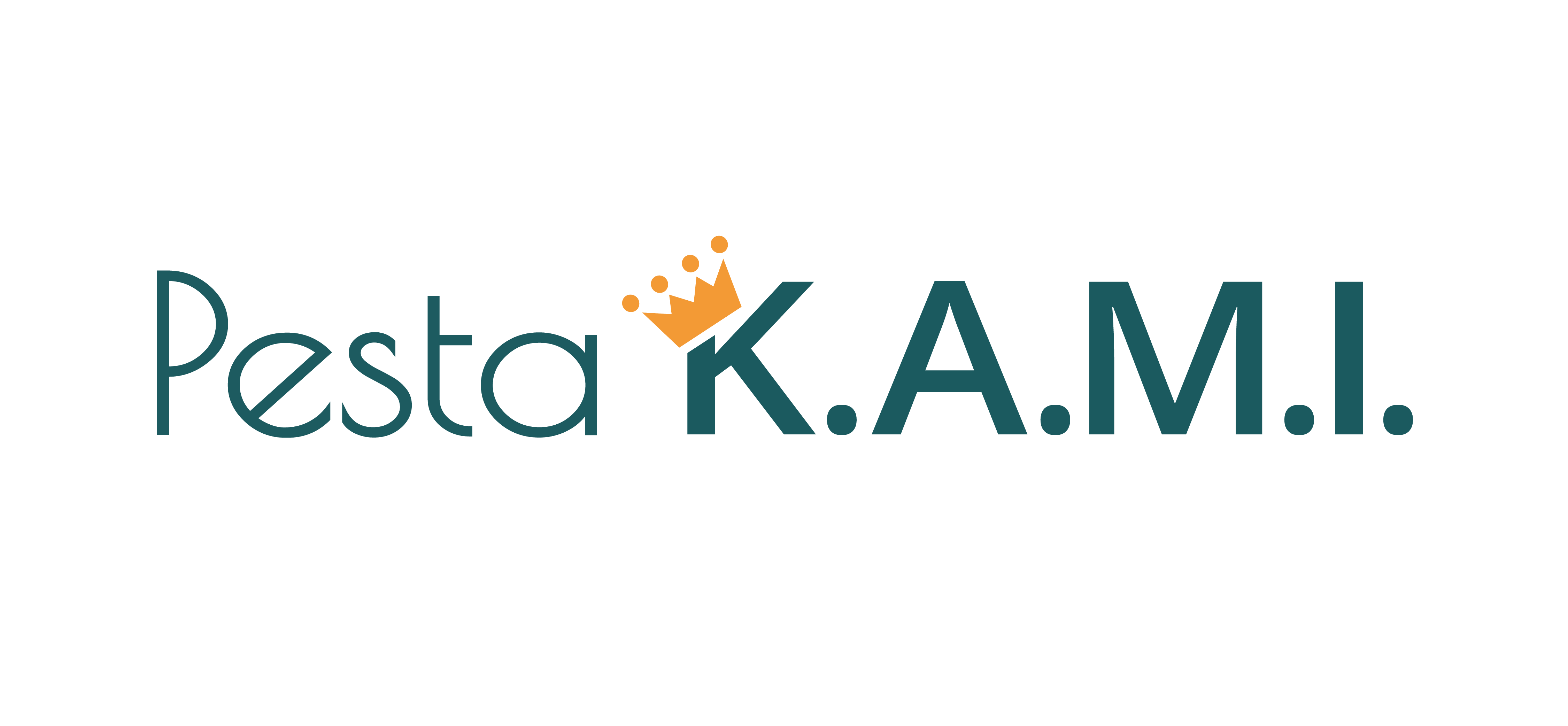 Pesta K.A.M.I.